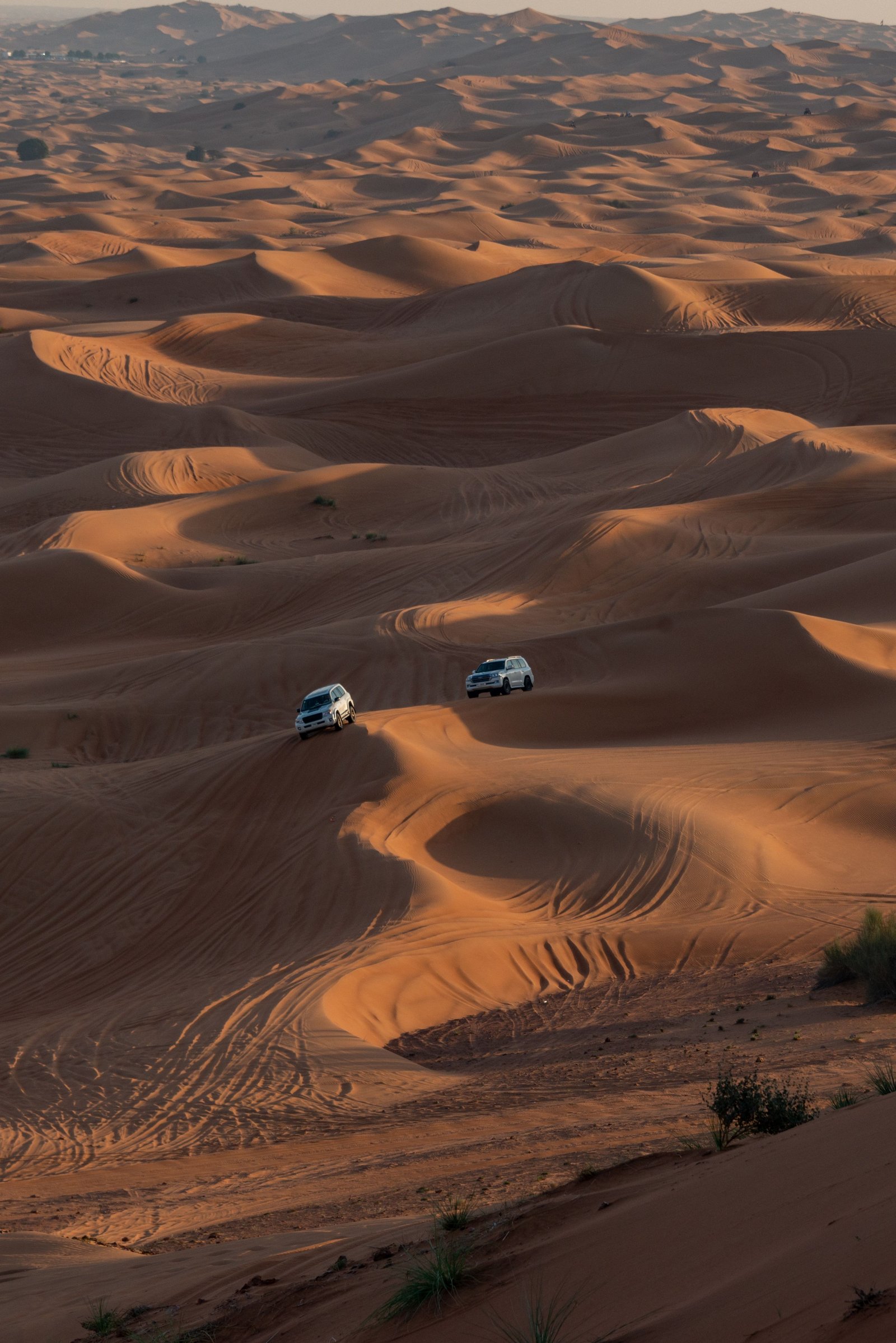 5-Day grand Sahara expedition desert sunset